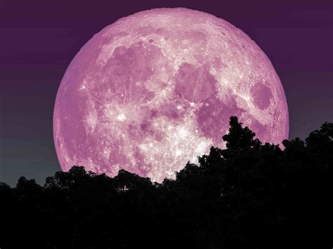 april 7 2020 pink moon